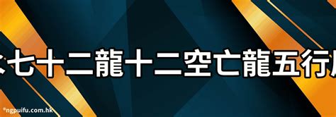 屬龍的五行|【龍 五行】屬龍的命格秘密大公開！五行解析，缺失。